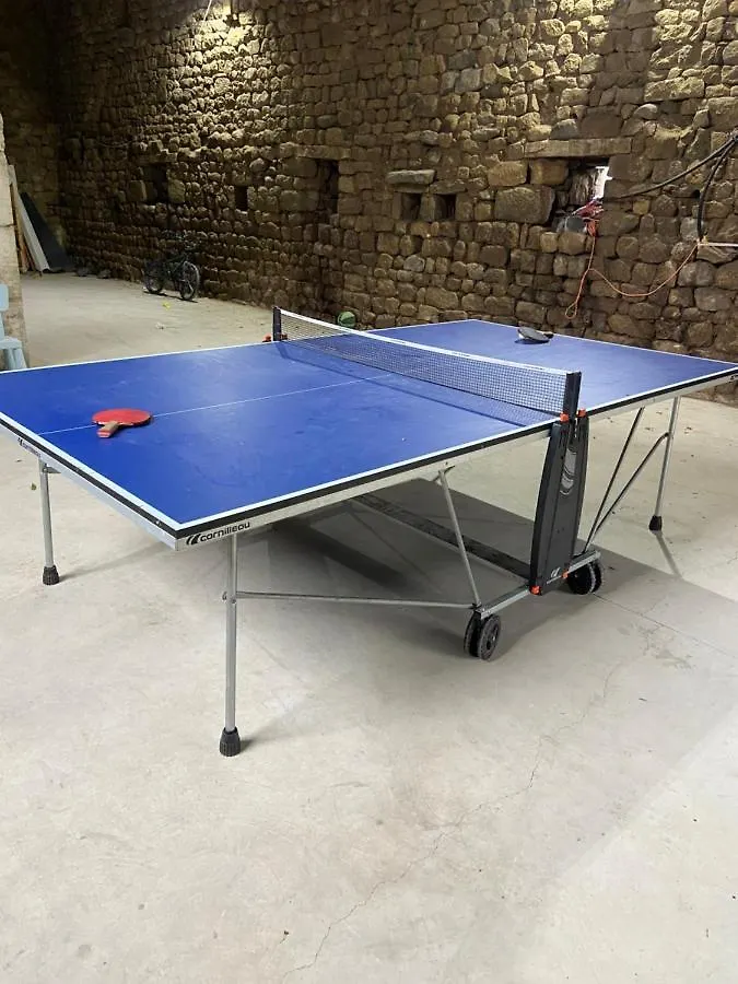 Casariou Les Bernards Villa Grande Batisse 12P Avec Cheminee Bain Nordique Billiard Piscine Vaudevant